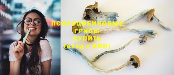 гашик Верхний Тагил