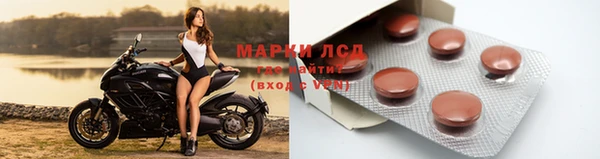 спиды Верея