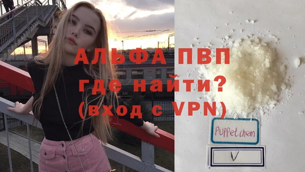 спиды Верея
