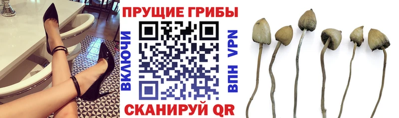 Псилоцибиновые грибы мицелий  Нурлат 